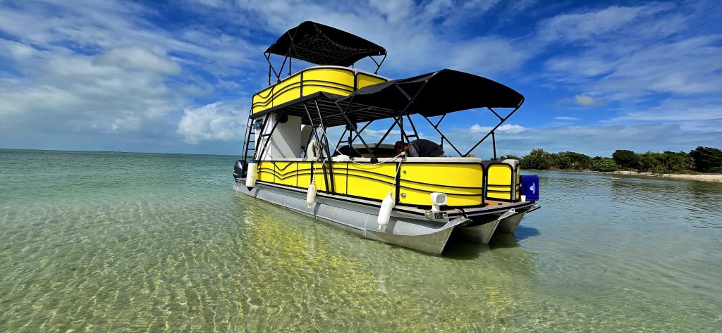 99ceff6b-a4d7-4f56-89e1-1c1ea452da34